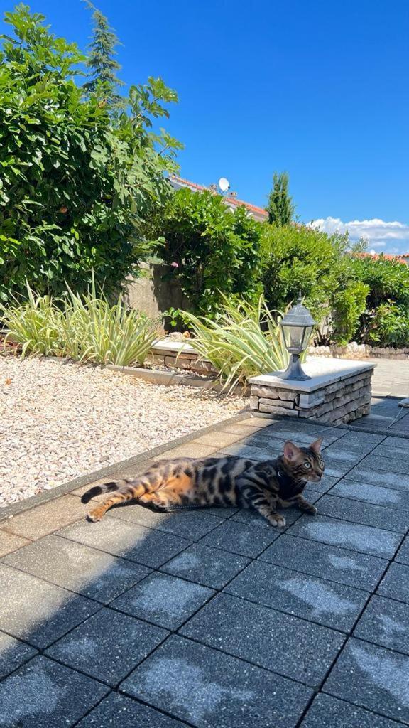Villa Flora マリンスカ エクステリア 写真